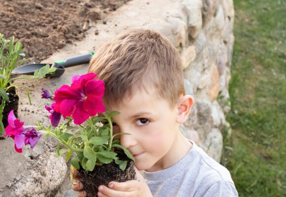Boy holding a pot plant